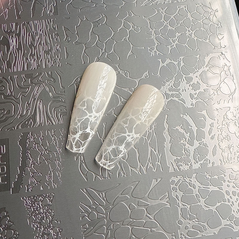XMQ NAIL ART STAMPING PLATES B - Nail Art Leopard avis et prix